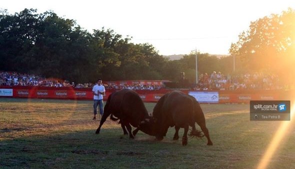 Medonja slavio na 20. bikijadi u Radošiću