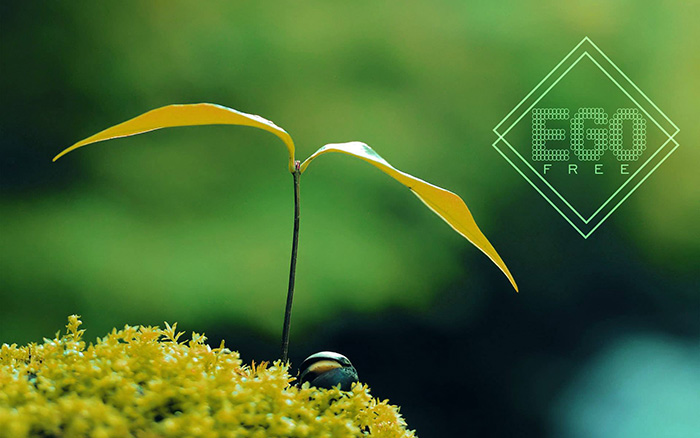 Glazbena ponuda grada pod Marjanom od ove je godine bogatija za EgoFree festival