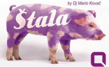 Raznovrstan tjedan u Quasimodu