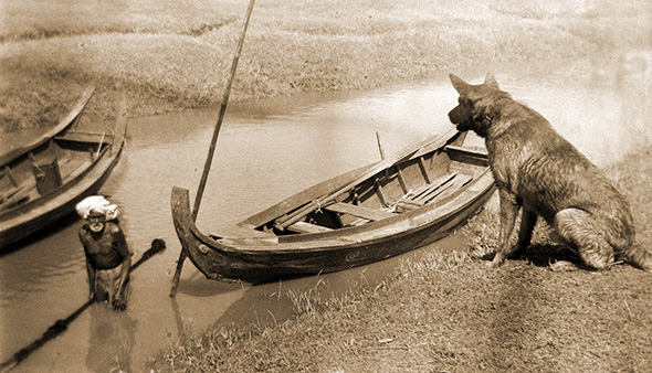 Ne propustite: Putevima Mate Svjetskog