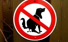 Grad kreće u borbu protiv pseće \’kakice\’