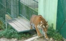 Društvo Marjan pozvalo veterinarsku inspekciju u splitski ZOO