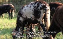 Fast Forward: Ida Skoko