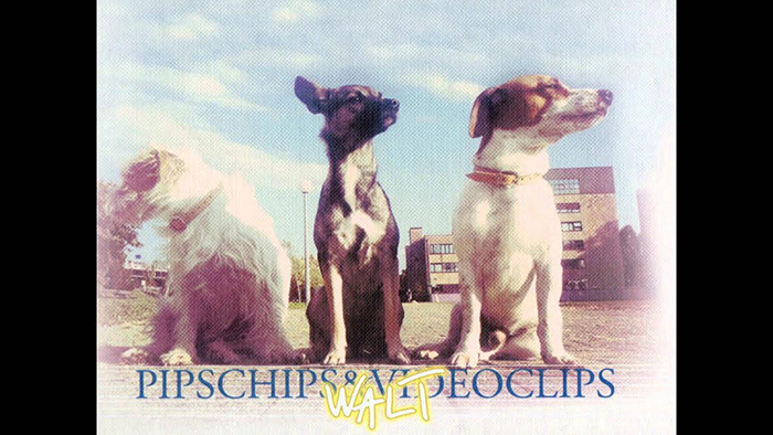 Pips, Chips & Videoclips u Judinom drvu