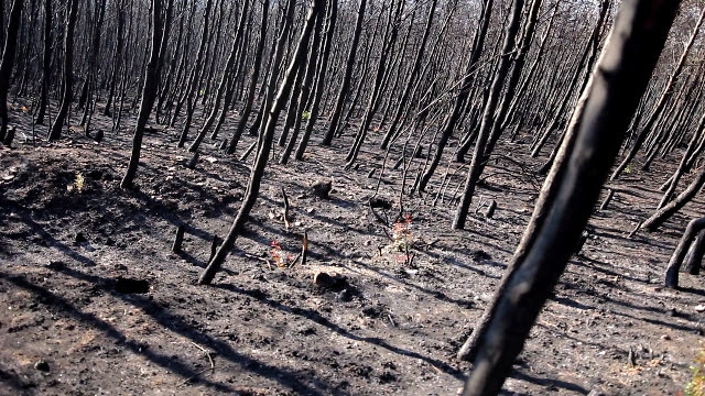 “LJUBAVNICE –  Dva stupnja” u Galeriji umjetnina Split