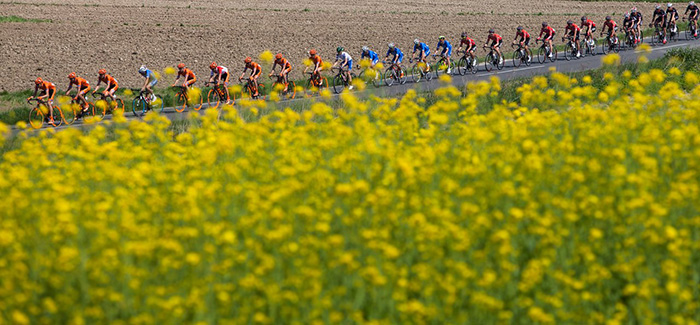 Tour of Croatia traži volontere