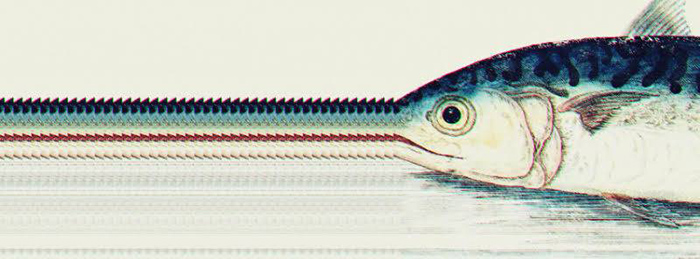 Druga Judina Peškarija u sklopu Porin Weeka!