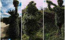 Umjesto kartinga sjajne skulpture od grmova