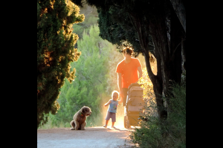 Program proslave Dana Marjana