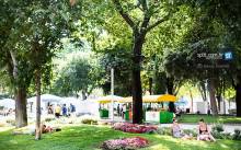 Bruka s Đardinom nek budu \’prvi mačići\’ Ive Baldasara