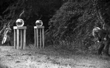 Nova magija u Judinom drvu