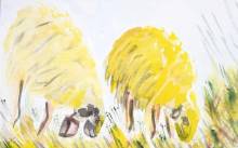 “Moji zavičaji” u Zlatnim vratima