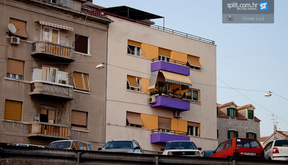 Foto ubod: ljubičasta ljepotica