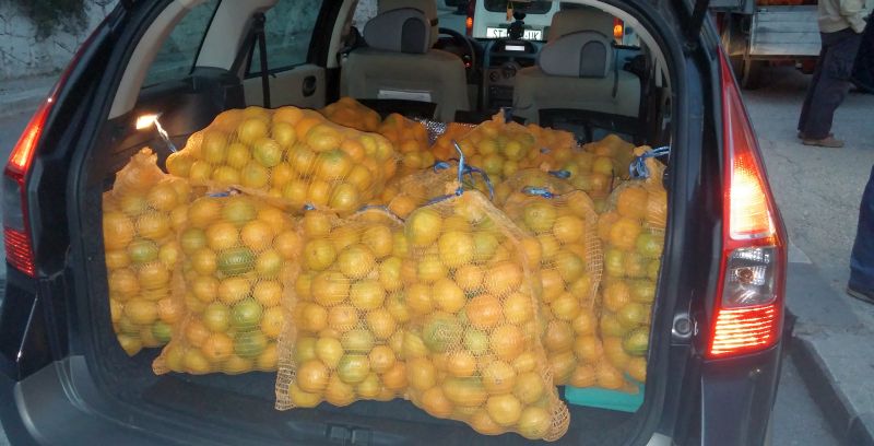 Neretvani splitske udruge i ustanove počastili mandarinama