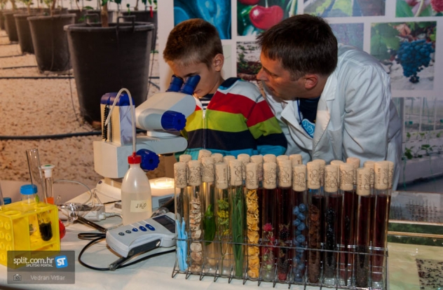 Noć istraživača 2015.