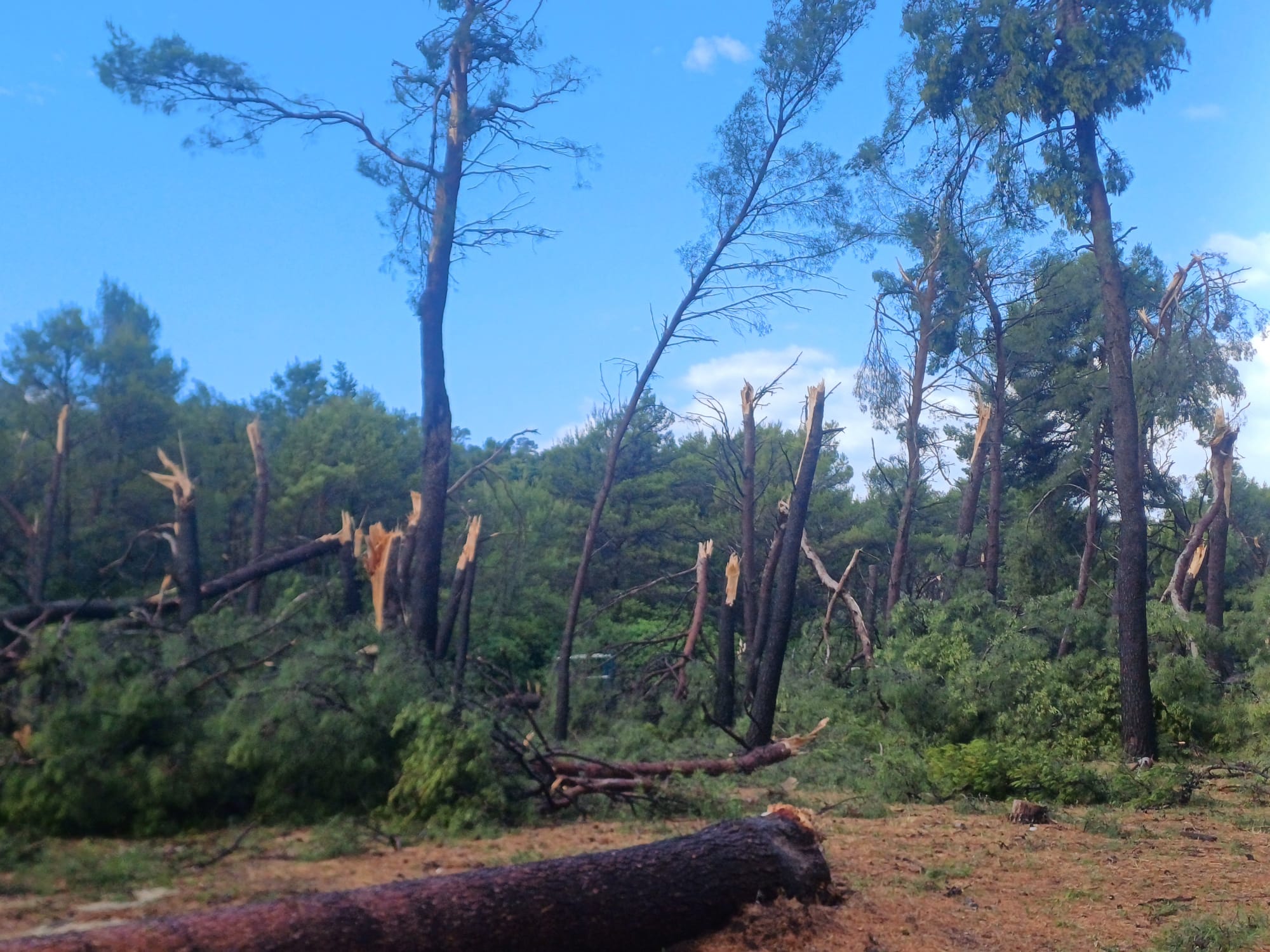 Javna ustanova za upravljanje Park-šumom Marjan: Molimo sve sugrađane i posjetitelje da danas NE idu na Marjan