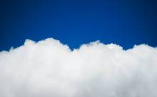 Franino nebo sad je…