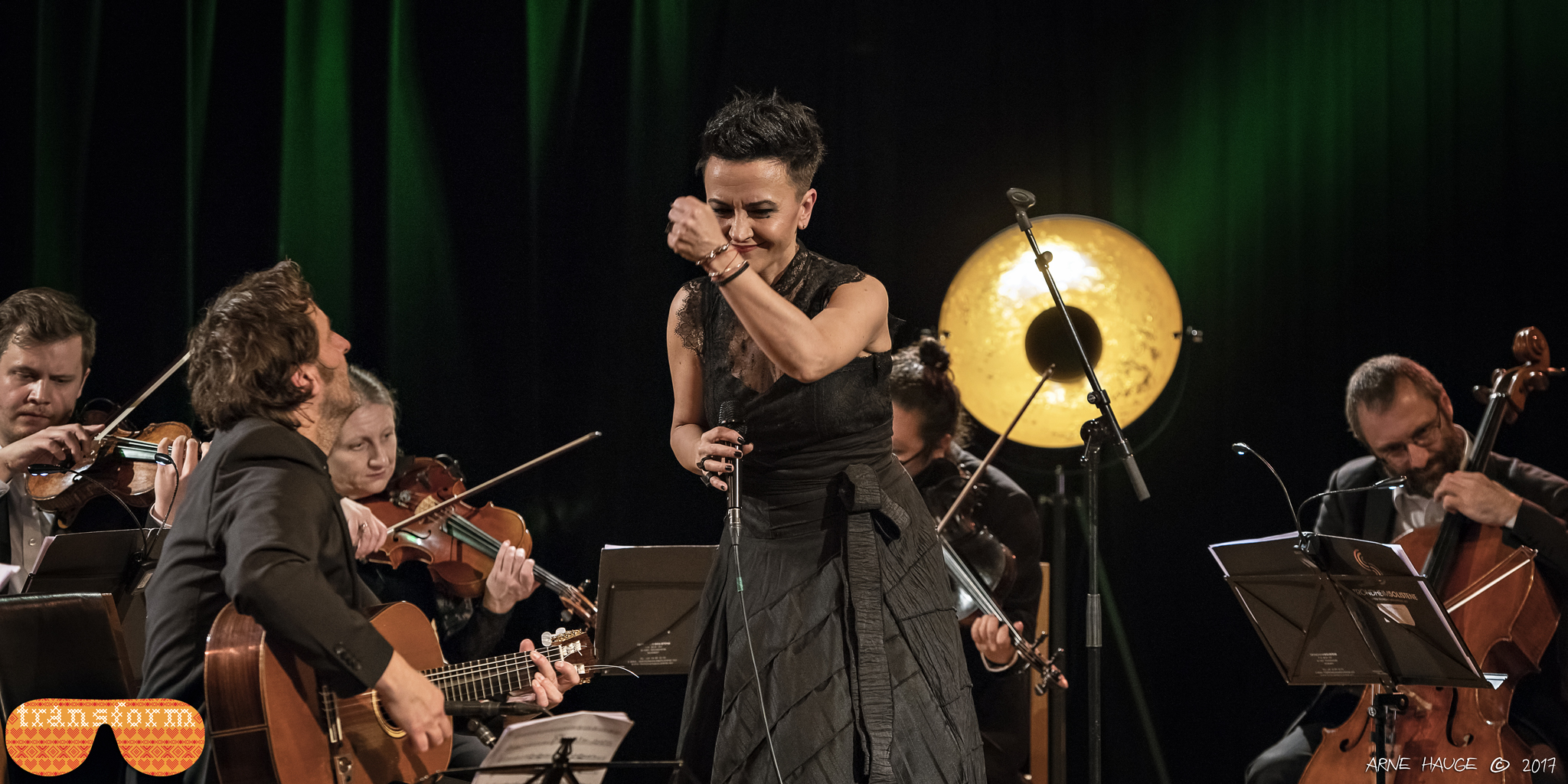 Backstage Live Pula: Elvis Costello, Amira Medunjanin, Avishai Cohen…