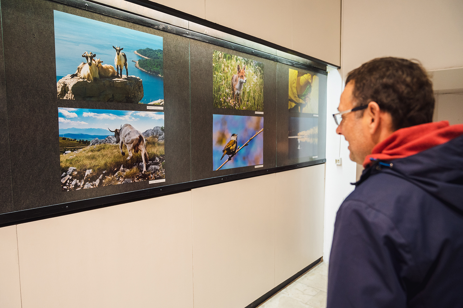 Otvoreno 22. izdanje izložbe planinarske fotografije HPD Mosor