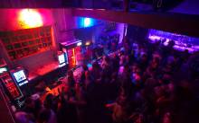 Niknulo Judino drvo u Kopilici