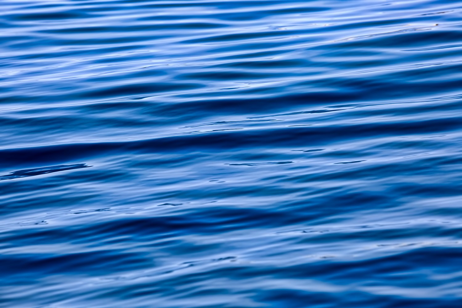 Primijetili ste onečišćenje mora? Evo kome se javiti