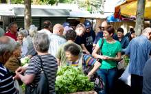 Marijana Puljak: Milanoviću, provjerite što radi Baldasar