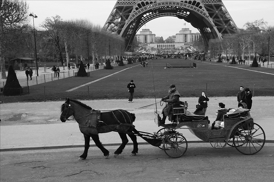 Darija Nonveiller Šesto izlaže u Fotoklubu Split
