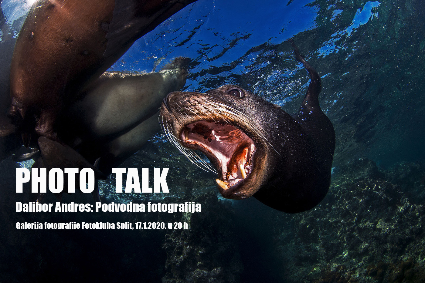 Photo Talk: Dalibor Andres