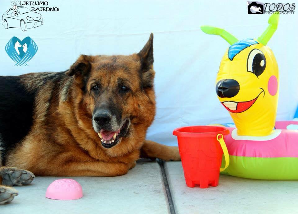 “Ljetujmo zajedno” kampanja i u Splitu