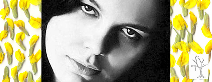 Valerija Nikolovska u Judinom drvu