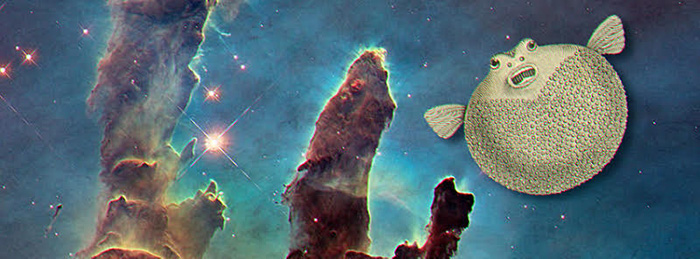 Prvi vikend veljače u Jude uz Quassar i Paul Maca