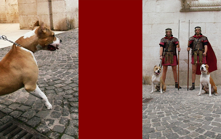 ‘Turizam na rubu pameti’  u Staroj gradskoj vijećnici