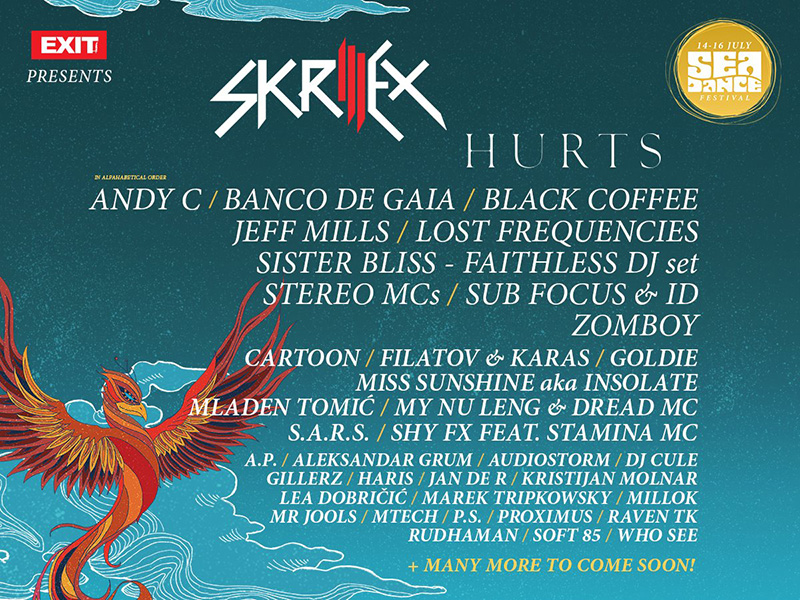 Vodimo vas na Sea Dance Festival !