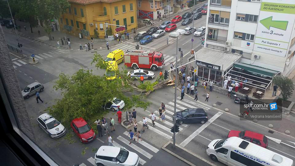 Na raskrižju kraj Slobodne srušilo se stablo na dva automobila