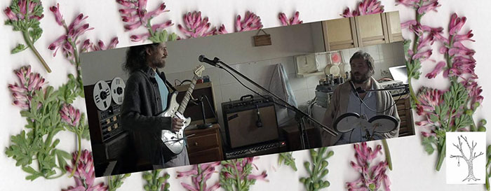 Grupa Ti u Judinom drvu!