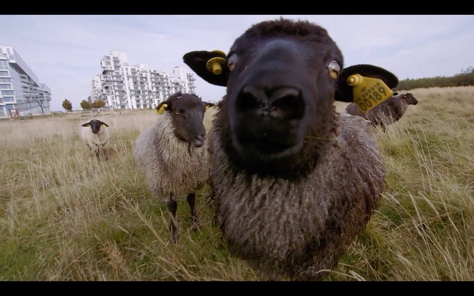 Secret Arts Cinema: novi filmski program posvećen umjetnosti