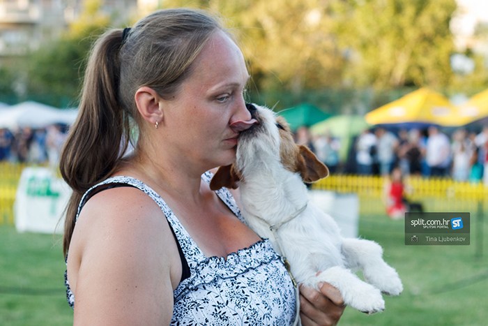 Predavanje “Ponašanje pasa”
