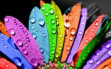 Eurofleurs u Podrumima i Galeriji Meštrović