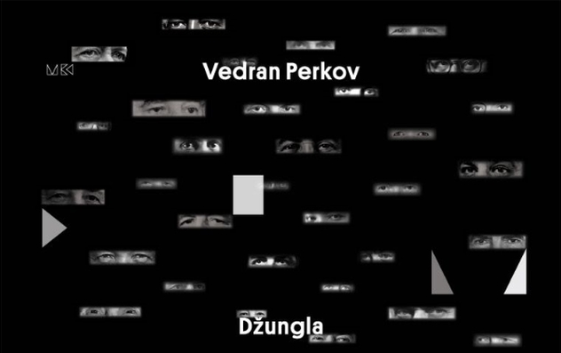 ‘Džungla’ Vedrana Perkova u Domu mladih