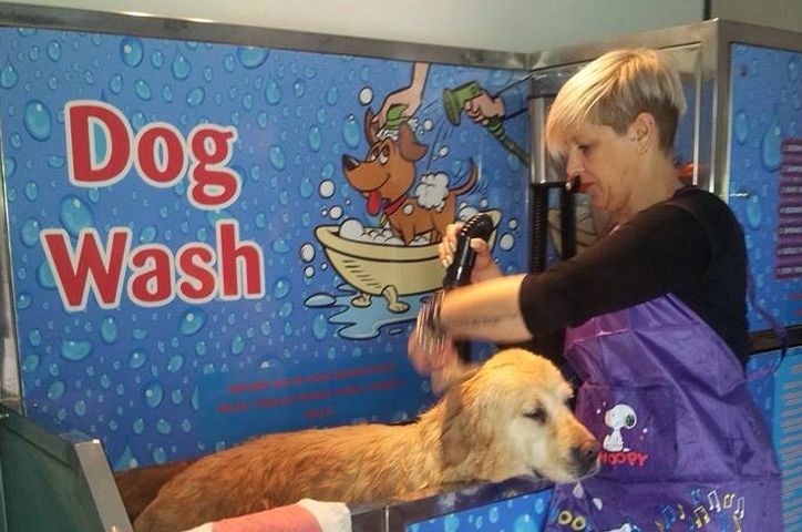 Novo u Splitu: Samouslužni uređaj za kupanje pasa