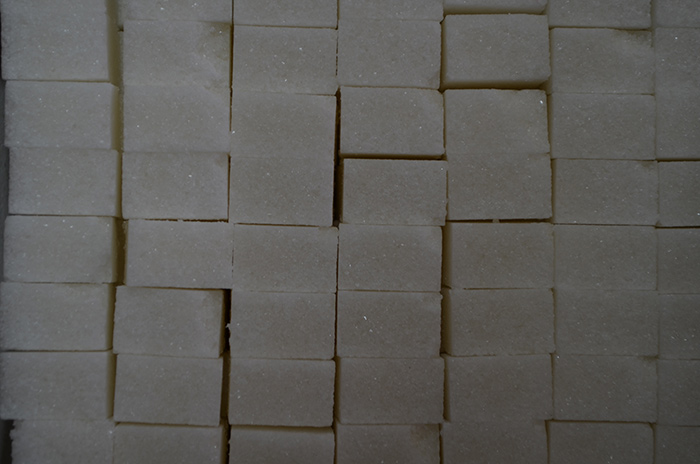 Fast Forward: Nina Dajak