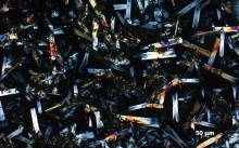 Nepoznato o poznatome u Fotoklubu Split