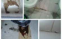 Počinje uređenje novog prihvatilišta, ne zna se tko će ga voditi