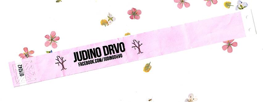 Koncert najboljih hrvatskih instrumentalista u Judinom drvu