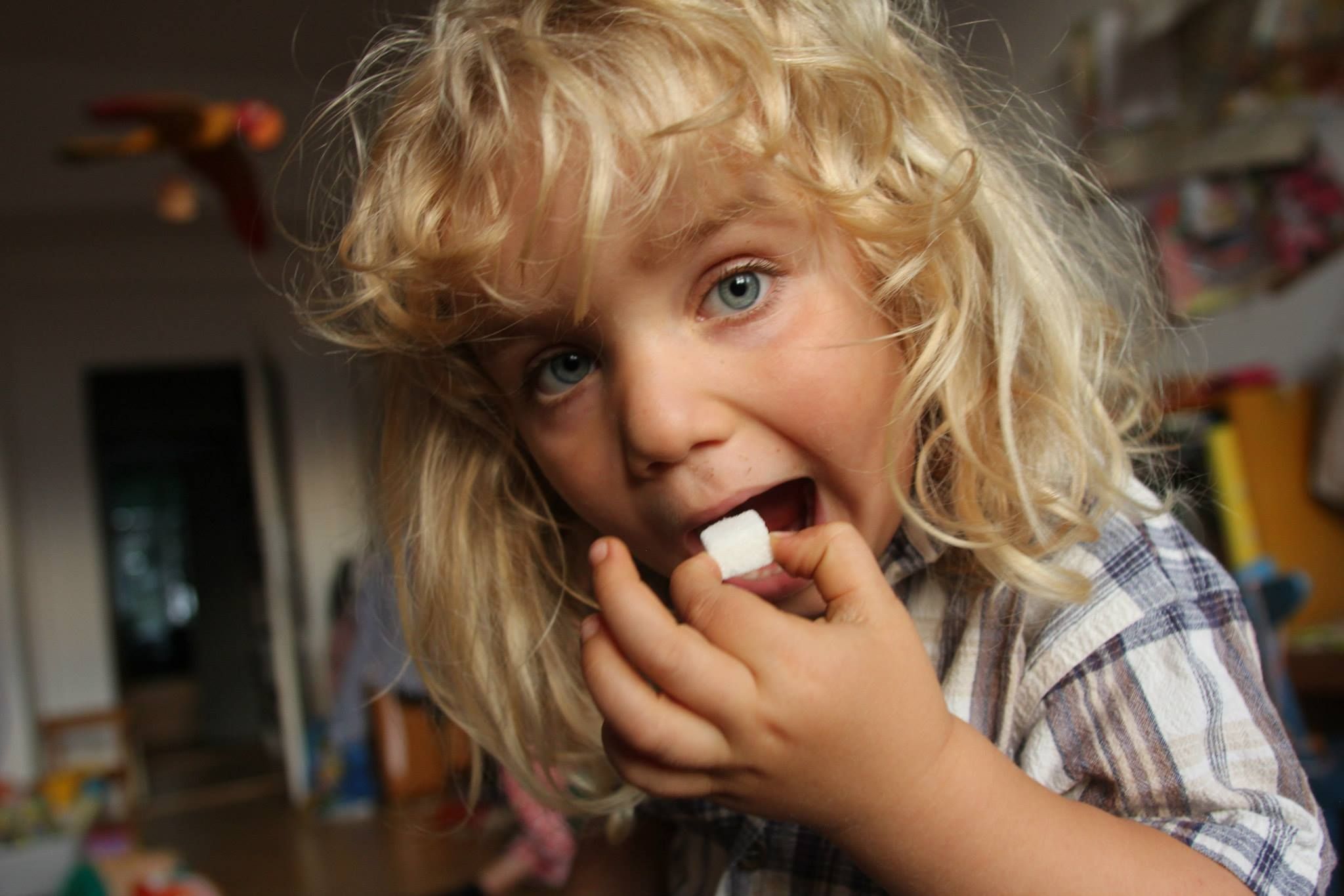 FMFS dovodi kino u Judino drvo