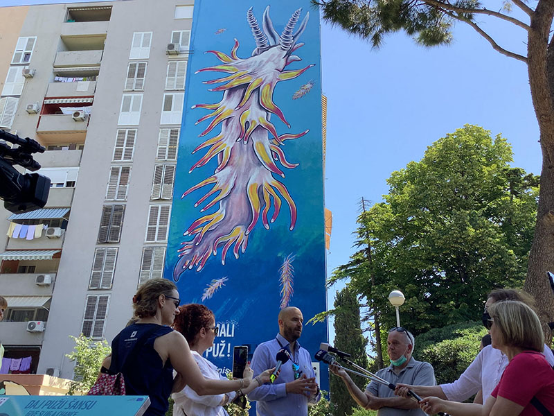 Split dobio mural najvećeg malog morskog puža na svijetu