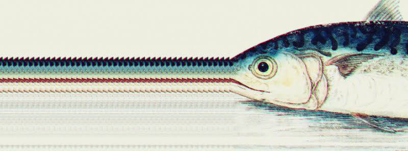 Peškarija večeras postaje disko klub!