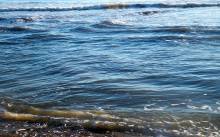 Znanstveni kafić o novim ribama u Jadranu