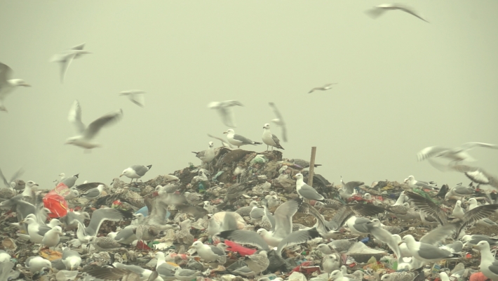 Kino klub Split predstavlja studij dokumentarne režije