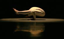 ROOM 100 premijerno u New Yorku